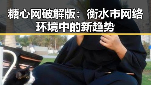 糖心网破解版：衡水市网络环境中的新趋势